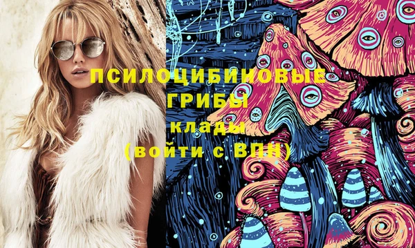 метадон Алексин