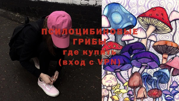 метадон Алексин