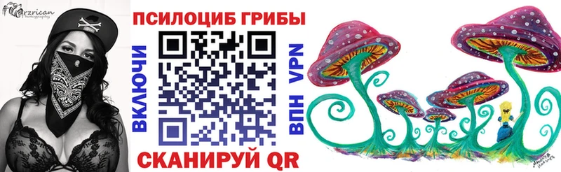Псилоцибиновые грибы GOLDEN TEACHER  Порхов 